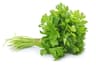 Parsley