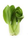 Pak Choi