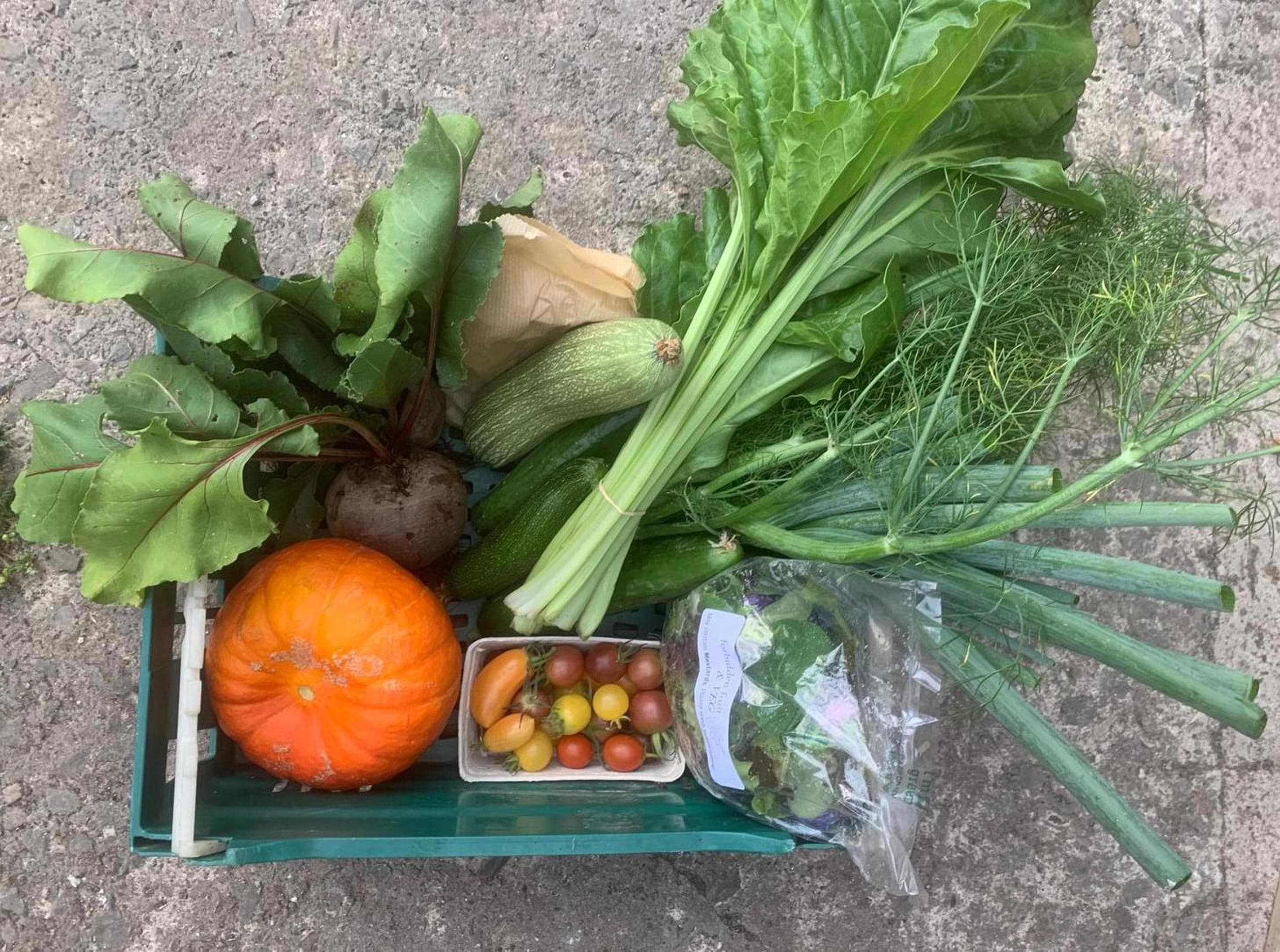 Medium Veg Box