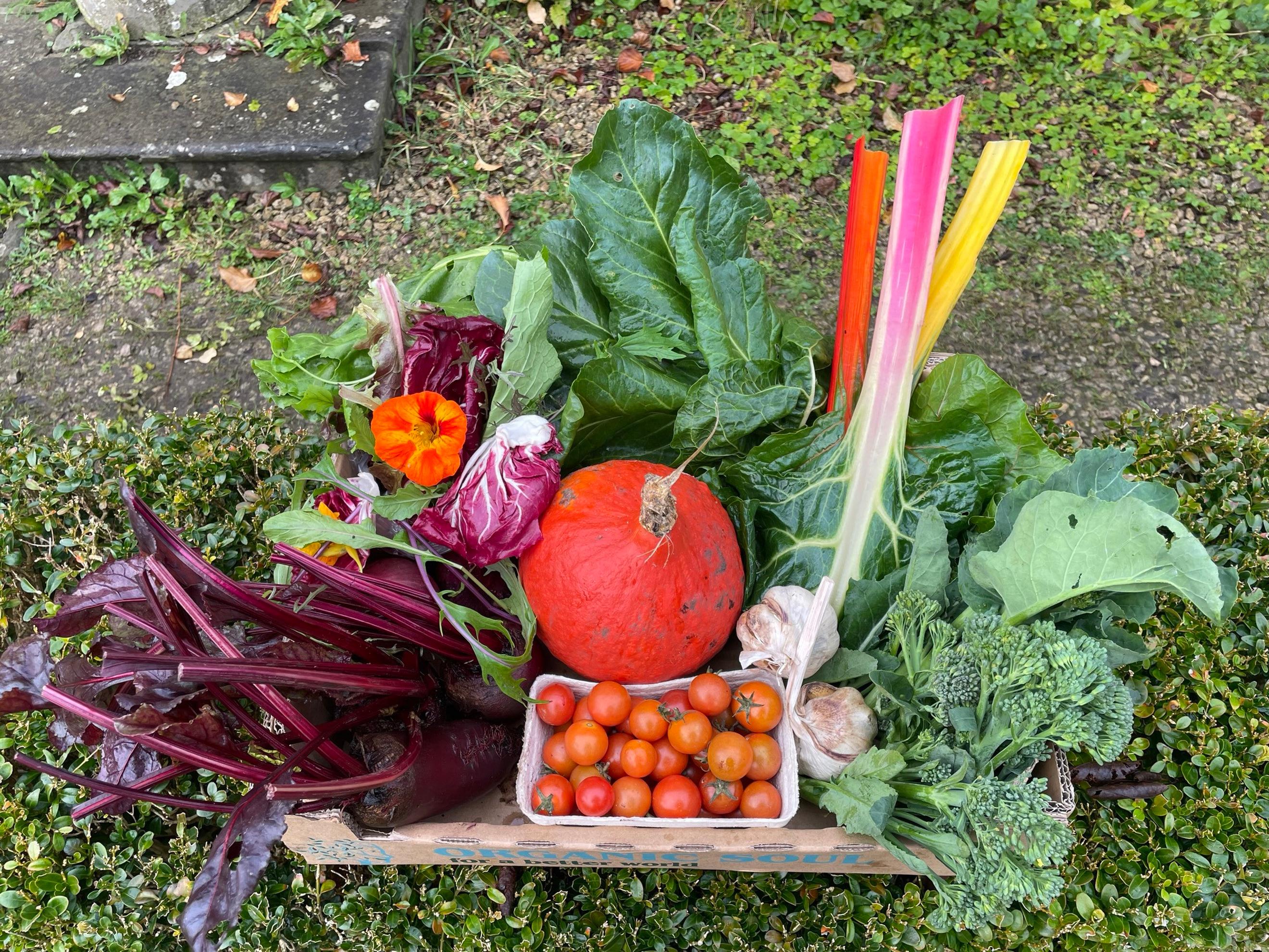 Large Veg Box